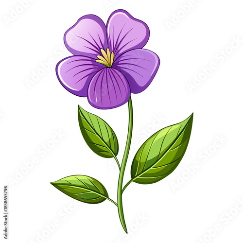 Purple Violet Flower with Green Leaves and Stem Botanical Illustration