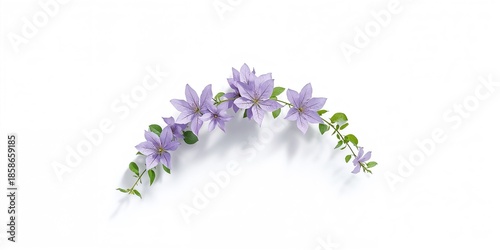 Purple clematis flower bran...