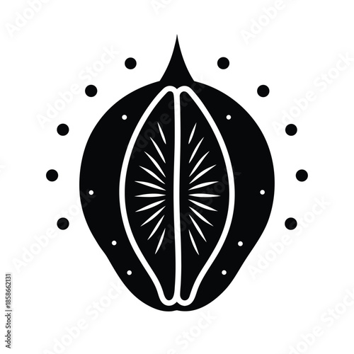 Sacred Cowrie Shell Divination