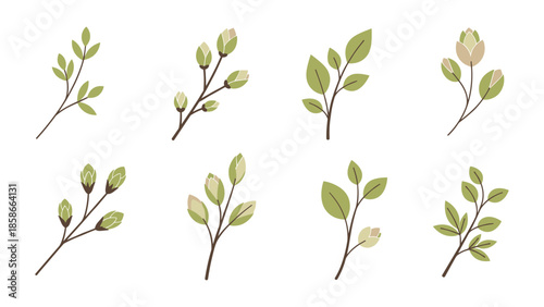 Minimalist floral branches with buds collection