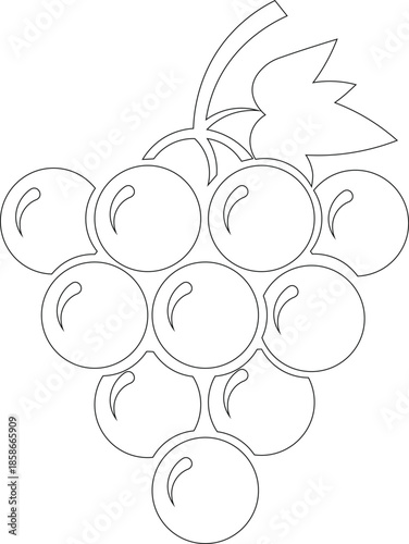 Grape Bunch Illustration: A stylized illustration presents a close-up view of a plump grape bunch with distinct leaves, suggesting the freshness and natural appeal of the fruit.