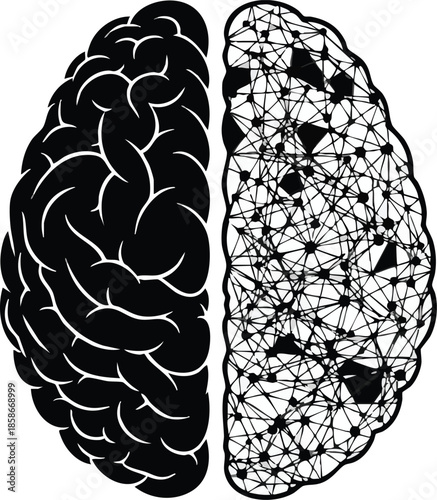 Human Brain Halves: Anatomical Structure, Neural Connections, Cognitive Function.