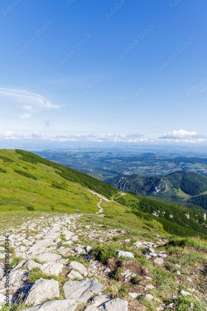 Naklejka premium Rocky Mountain Path Leading to a Green Valley
