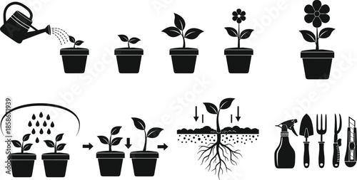 Plant growth stages silhouette set, gardening process icons, watering planting tools, botanical lifecycle illustration isolated on white background vector design