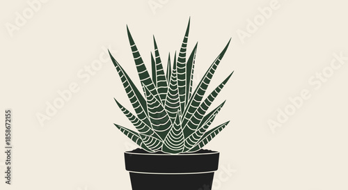 Dark green succulent plant with striped leaves growing in a simple black ceramic pot on a light cream background.