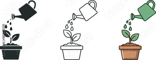 Three potted plants being watered with different colored watering cans