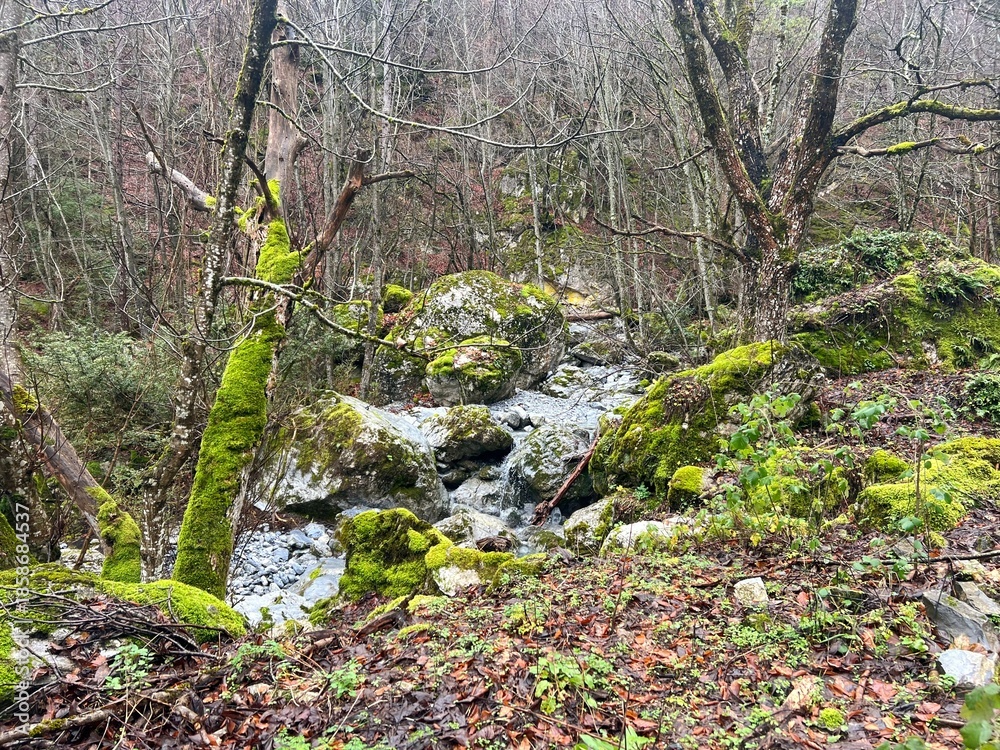 Φωτογραφία Photo of a mountain river flowing from Enipeas Waterfall in Pieria, Greece, at the foothills of Mount Olympus, winding through moss-covered rocks and a quiet deciduous forest in winter