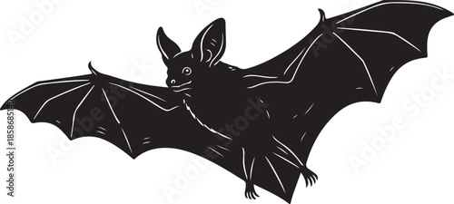 Bat Silhouette