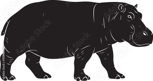 Hippopotamus Silhouette