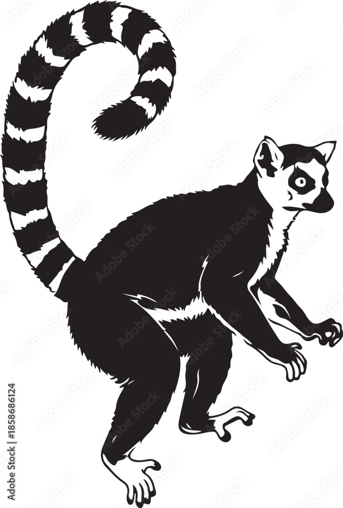 Obraz premium Lemur Silhouette
