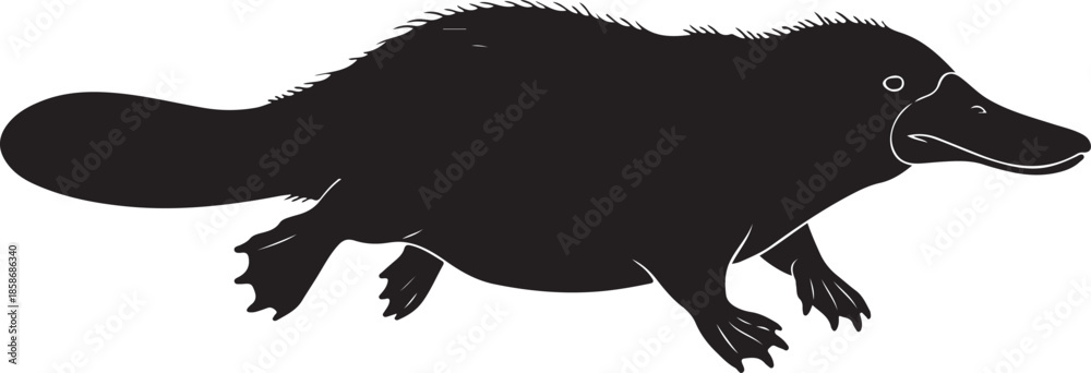 Obraz premium Platypus Silhouette