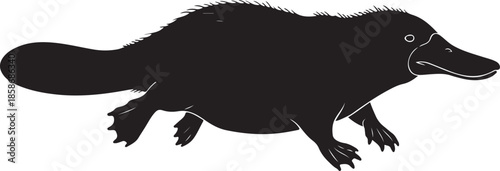 Platypus Silhouette