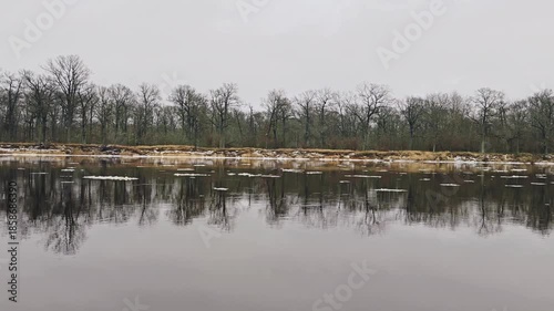 Reflecting bare trees in calm winter lake water. Mirror-like reflection of leafless tree line on tranquil frozen lake surface during cold season