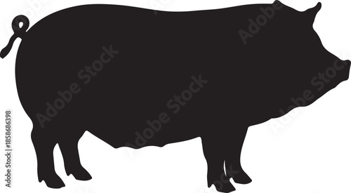 Pot Bellied Pig Silhouette