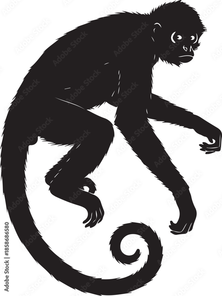 Fototapeta premium Spider Monkey Silhouette
