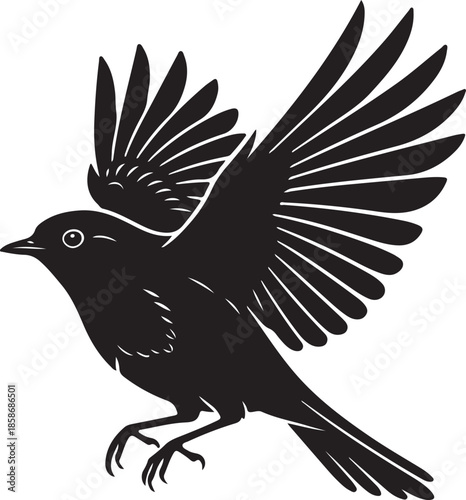 Robin Bird Silhouette