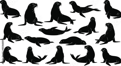 Black seal and sea lion silhouettes collection isolated on white background, marine mammal icons for aquatic wildlife, ocean nature and nautical design.