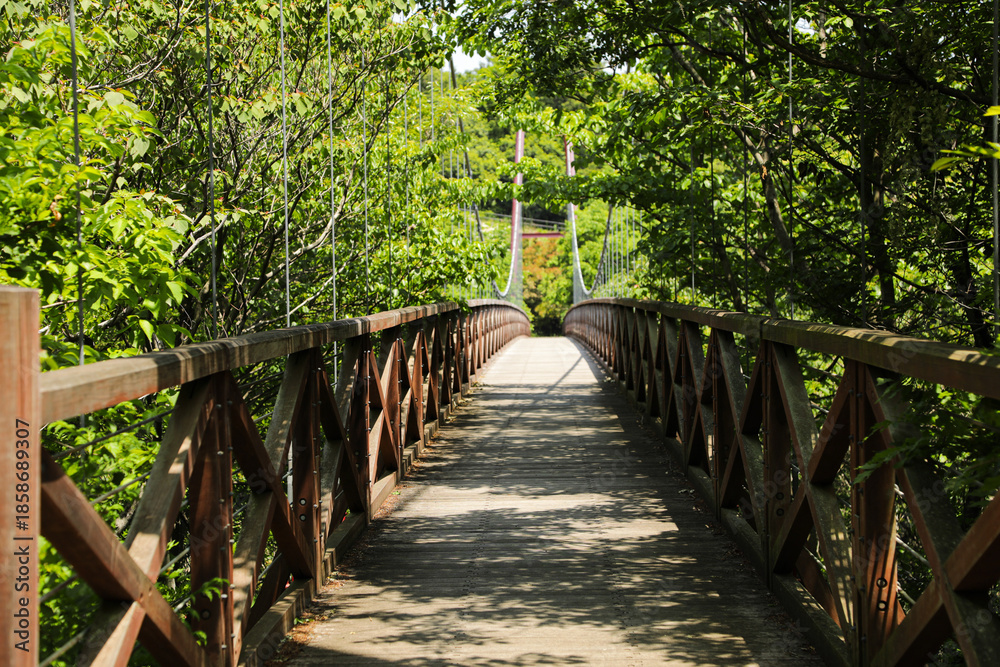 Obraz premium Wooden Bridge Surrounded by Lush Green Forest in Summer