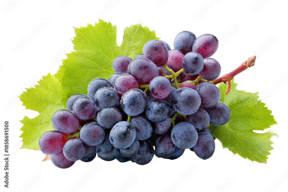 Fototapeta premium Cluster of purple grapes with leaves
