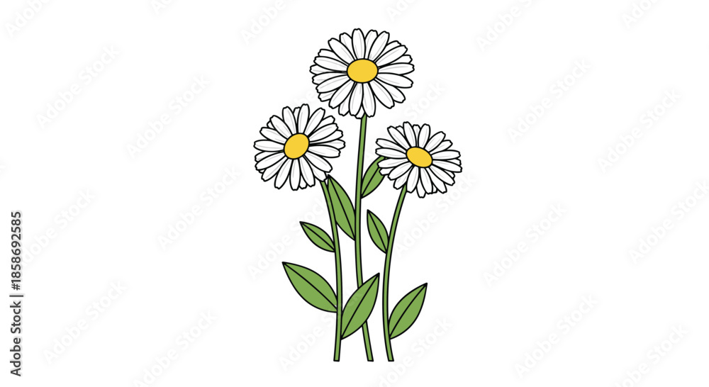 Fototapeta premium Three simple white daisies with bright yellow centers standing on green stems with leaves in a clean cartoon illustration style.