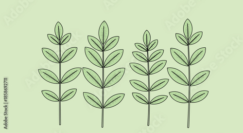 Set of four identical green leaf sprigs with small oval leaves arranged in a row on a light green background.