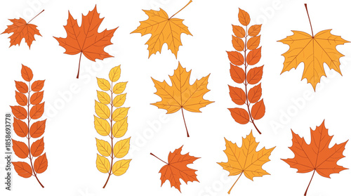 Autumn Fall Leaves Collection with Orange and Yellow Foliage Elements in Flat Vector Style Isolated