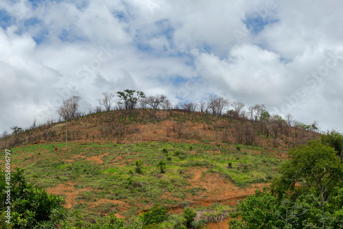 Hilltop, where native Atlantic Forest vegetation once existed, after eucalyptus trees were cut down, in the municipality of Guarani, state of Minas Gerais, Brazil.