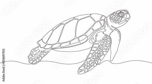 Single line art drawing of a majestic sea turtle swimming, isolated on a clean white background, concept for ocean biology studies, animal conservation projects and artistic apparel prints