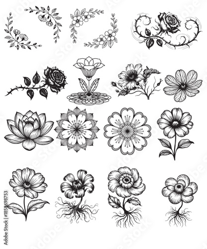 set of floral elements
