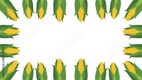 Vibrant frame design showcasing fresh, ripe corn on the cob with green husks, perfect for seasonal decorations.