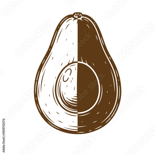 Vintage Brown and white illustration of a whole and halved avocado on white background
