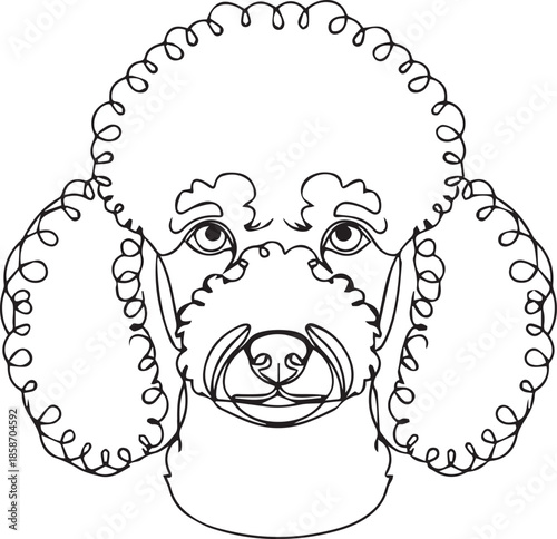 Cute poodle dog illustration