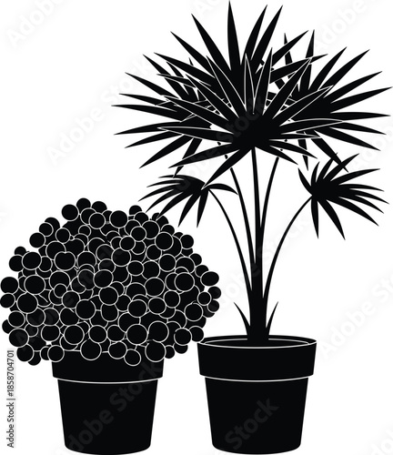 Potted plant silhouettes, rounded foliage, spiky leaves, indoor decor, black and white art, botanical contrast, elegant design, plant motif