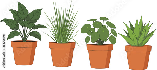 Potted plants, indoor greenery, terracotta pots, leaf variety, houseplant collection, botanical decor, foliage types, natural design, gardening theme, plant row