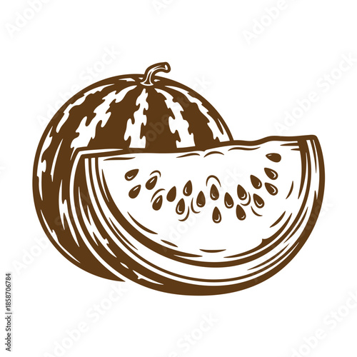 Vintage Brown illustration of whole and sliced watermelon with seeds on white background