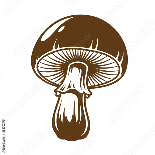 Vintage Brown mushroom with white gills isolated on transparent background