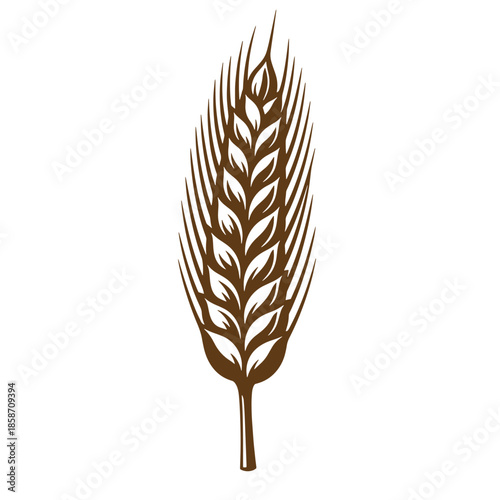 Vintage Brown wheat ear illustration on white background for food and agriculture concepts
