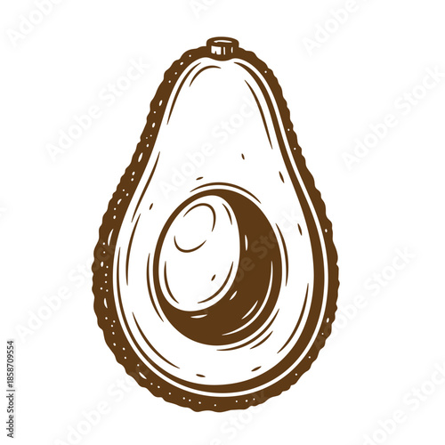 Vintage Drawing of a halved avocado with pit  fruit illustration  healthy eating  fresh produce