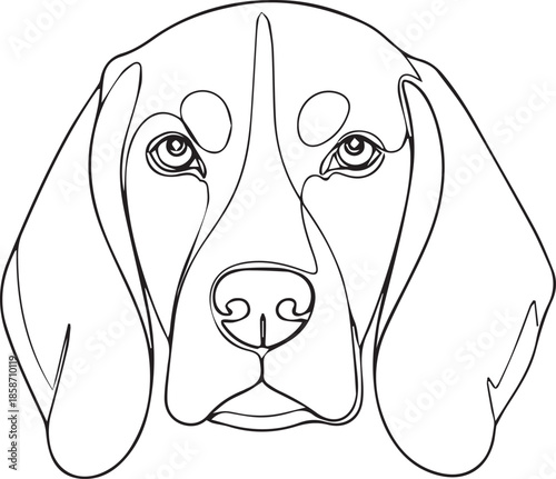 Basset hound line drawing
