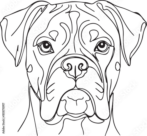 Portrait of a boxer dog