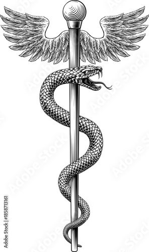 Rod of Asclepius staff medi...