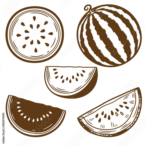 Vintage Brown hand drawn watermelon slices and whole on white background