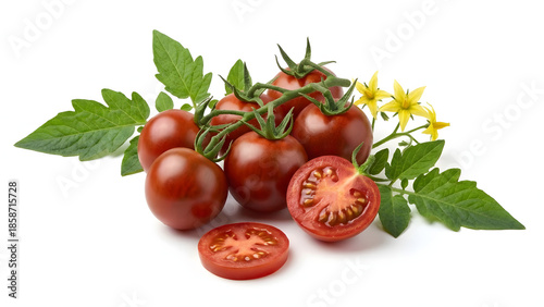 Freshly picked ripe organic dark cherry tomatoes with green leaves and yellow blossoms
