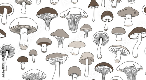Mycology inspired pattern features an array of different mushroom species drawn in simple lines and neutral tones for a natural forest look.