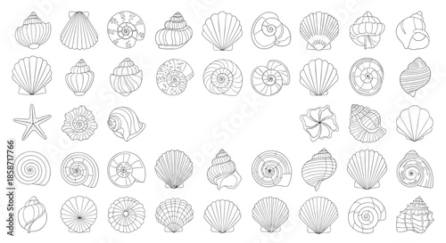 Large collection grid of various seashell and starfish line art illustrations in black and white on white background.