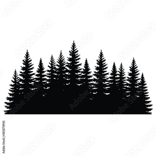 Silhouetted coniferous forest landscape a dense collection of dark trees