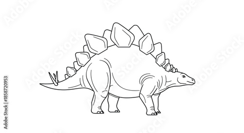 Simple black and white line drawing of a prehistoric stegosaurus dinosaur showing its distinctive plates and spiked tail.