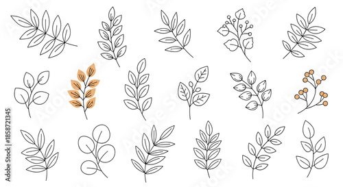 Collection of botanical leaf and berry sprigs in simple black outlines with some colored accents for nature and garden designs.