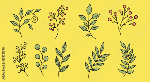 Set of ten various botanical leaf and berry branches in green and red colors on a bright yellow background for design.