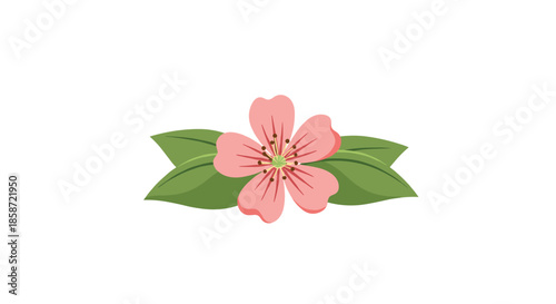 Simple botanical illustration features a single pink flower with five petals and four green leaves arranged symmetrically around its base.